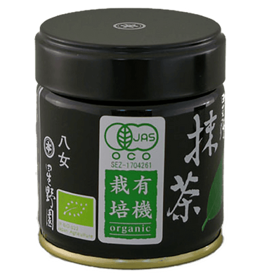 Tee Bio Matcha Hoshino, 40g Dose - SHUAIVIBES